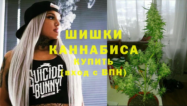 мдма Болотное