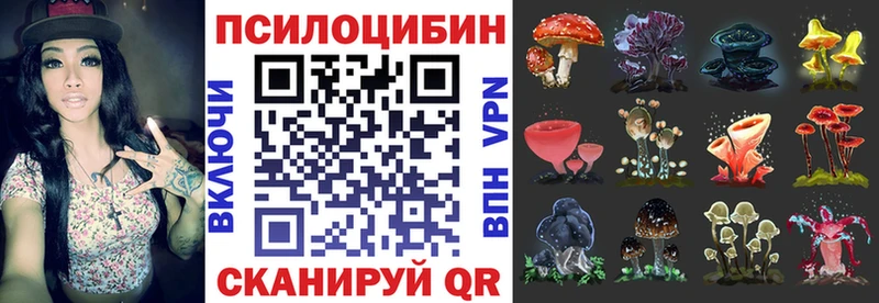 Псилоцибиновые грибы ЛСД  цена наркотик  Закаменск 