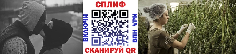 купить  сайты  Закаменск  Бошки марихуана план 